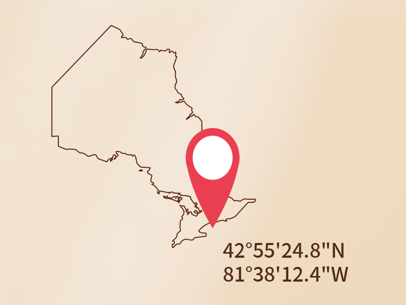 加拿大安大略省西洋参黄金产区 42°55'24.8"N, 81°38'12.4"W